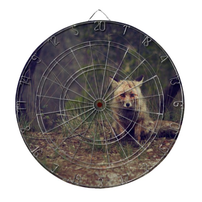 Coyote Dartboard (Front)