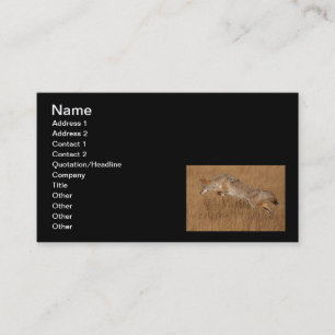 Coyote Flying Business Card