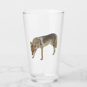 Coyote Glass