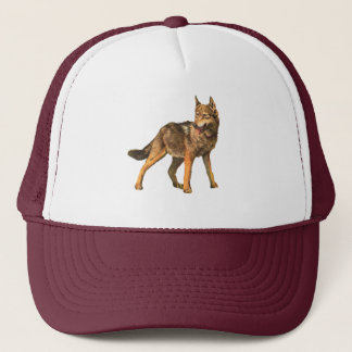 coyote hat