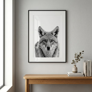 Coyote Head Portrait art Black white Poster