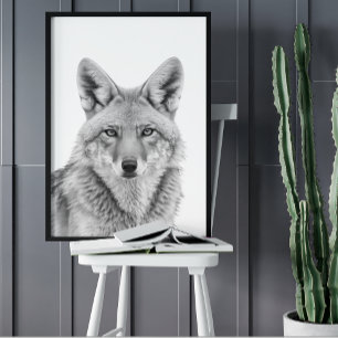 Coyote Head Portrait Black white Poster