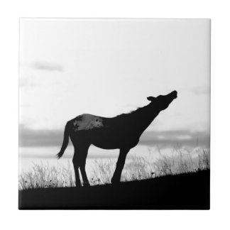 Coyote Horse Tile