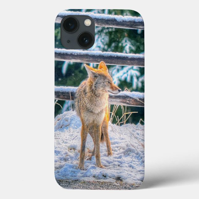 Coyote Hunting in Snow on Ranch - Wildlife Photo Case-Mate iPhone Case (Back)