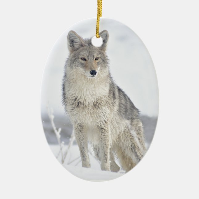 Coyote in Snow at Yellowstone Ceramic Tree Decoration (Front)