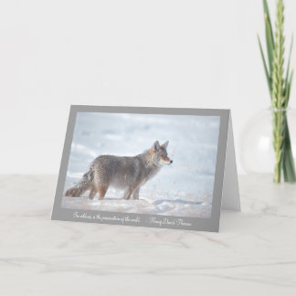 Coyote in Snow Card
