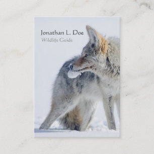 Coyote in Snow Wildlife Guide, Ecologist Business Card