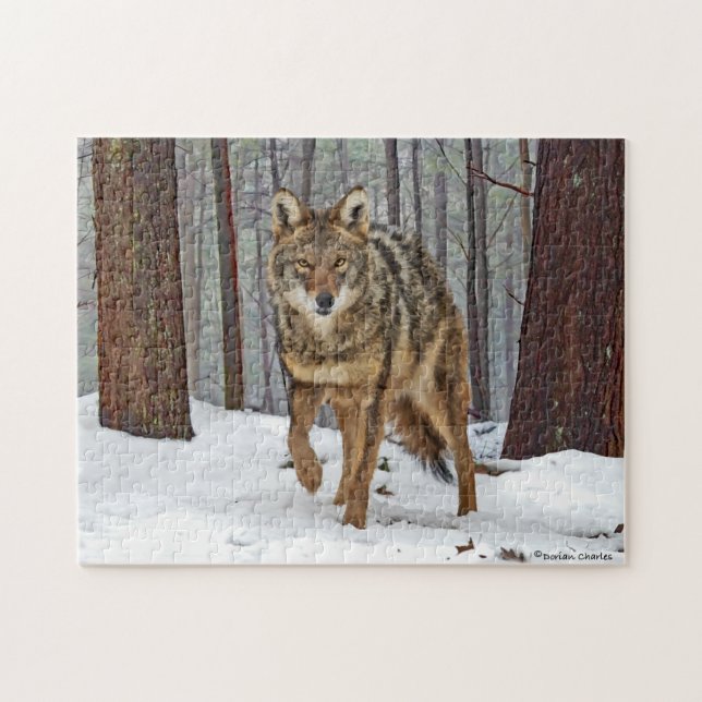 "Coyote In The Pines" Puzzle (Horizontal)