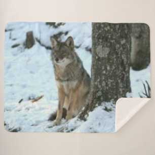 COYOTE in the WILD Sherpa Blanket