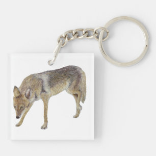 Coyote Key Ring