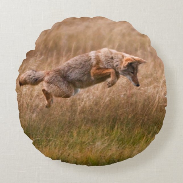 Coyote Leaping - Gibbon Meadows Round Cushion (Front)