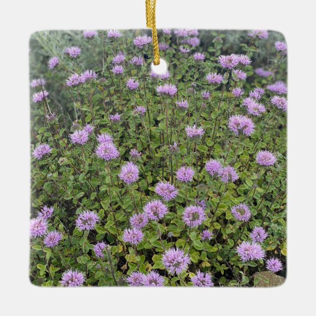 Coyote Mint Ceramic Ornament (Front)