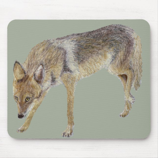 Coyote Mouse Pad (Front)