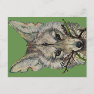 coyote postcard by faceliketank