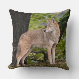 Coyote Pretty  Cushion