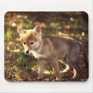 Coyote Pup Mousepad