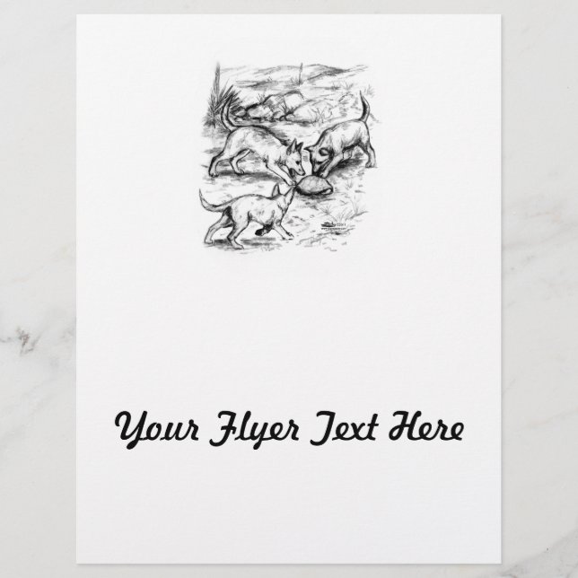 Coyote Pups Flyer (Front)