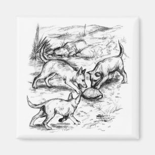 Coyote Pups Magnet