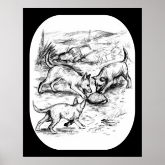 Coyote Pups Poster
