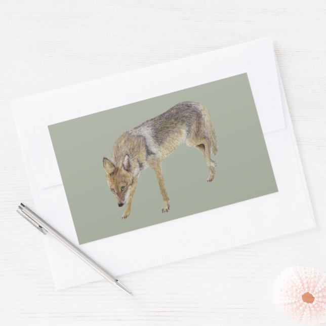Coyote Rectangular Sticker (Envelope)