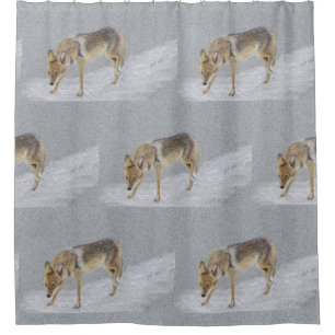 Coyote Shower Curtain