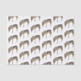 Coyote Tissue Paper
