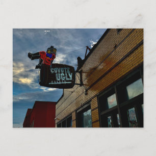 Coyote Ugly Postcard