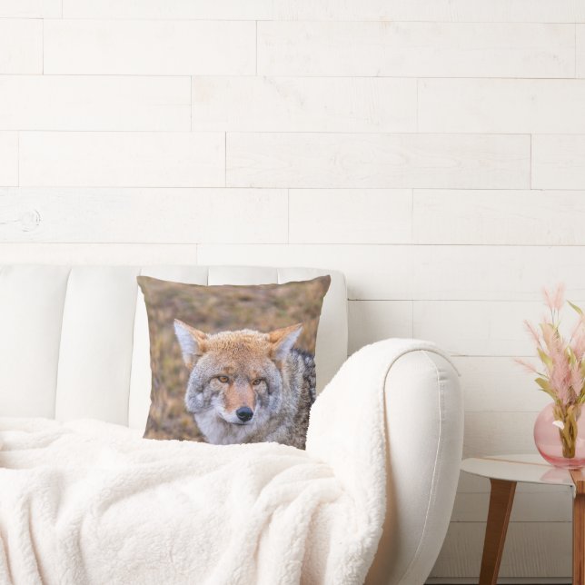 Coyote Wild Dog Pillow (Couch)