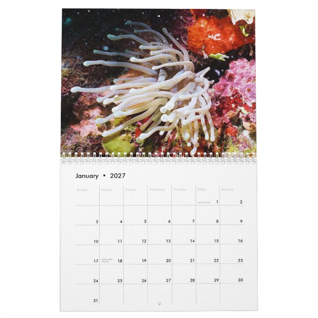 Cozumel 2011 Underwater Calendar (Jan 2027)