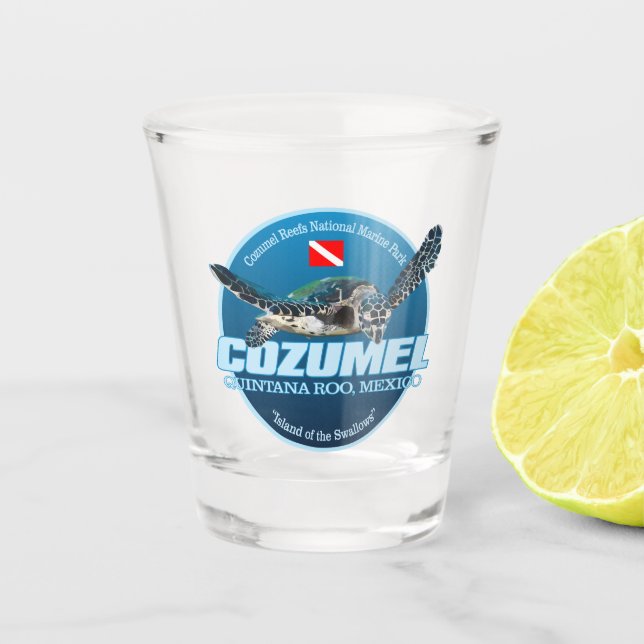 Cozumel (DD2) Shot Glass (Front)
