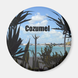 Cozumel Magnet