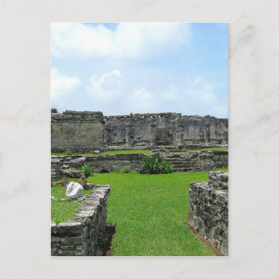 Cozumel Mexico Postcard