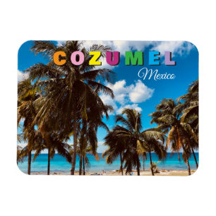 Cozumel Mexico Travel Souvenir Magnet