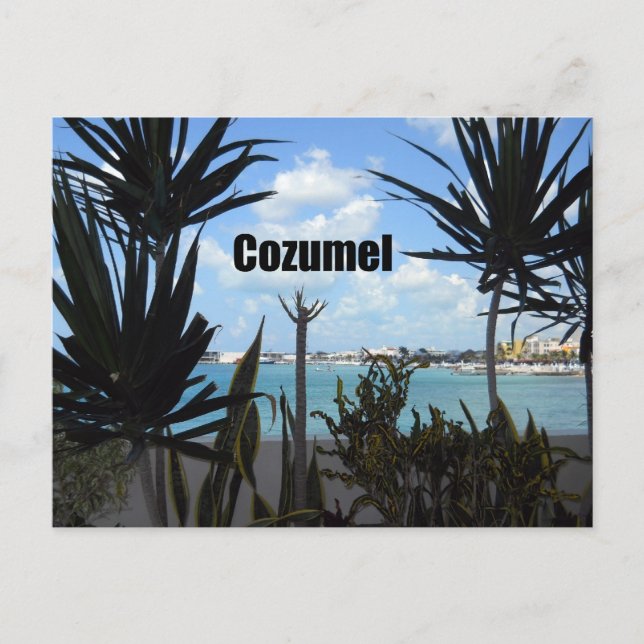 Cozumel Postcard (Front)