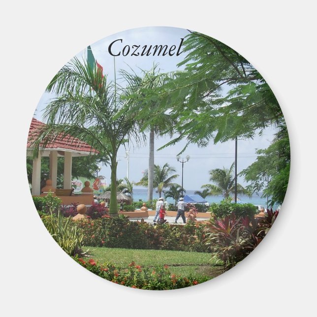 Cozumel Tropical Palm Tree Magnet (Front)