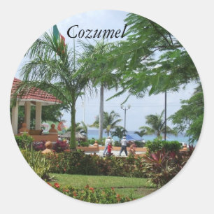 Cozumel Tropical Palm Tree Stickers