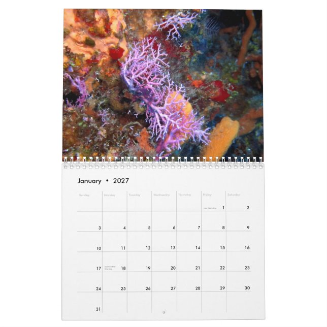 Cozumel Underwater 2014 Calendar (Jan 2027)