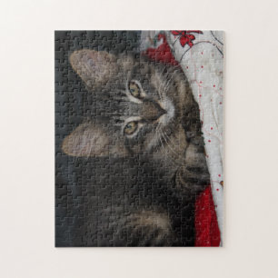 Cozy Cat Caspian Puzzle