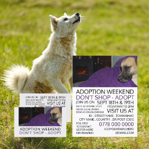 Cozy Dog, Pet Adoption Event Advertising Business Card