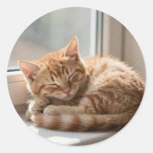 Cozy Ginger Cat Sunbathing Nap Classic Round Sticker