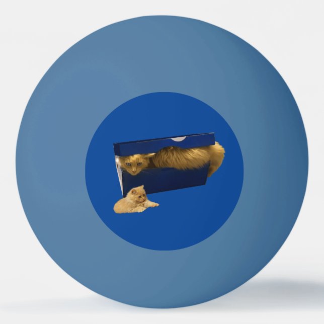"Cozy Hideaway: The Ginger Cat in the Shoe Box" Ping Pong Ball (Front)