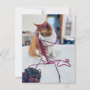 Cozy Orange Tabby Note Cards for Cat Lovers