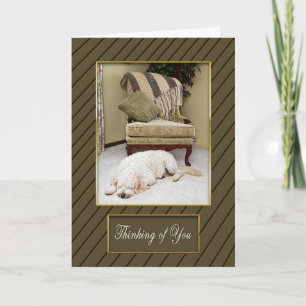 COZY THINKING OF YOU GREETING - FLUFFY DOG IN HOME CARD
