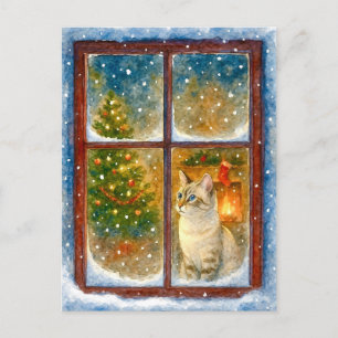 Cozy Winter Cat by the Window Christmas Postcard