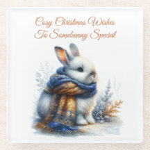 Cozy Winter Wishes To Somebunny Special Rabbit