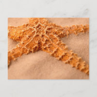 cp ion sand cl-up