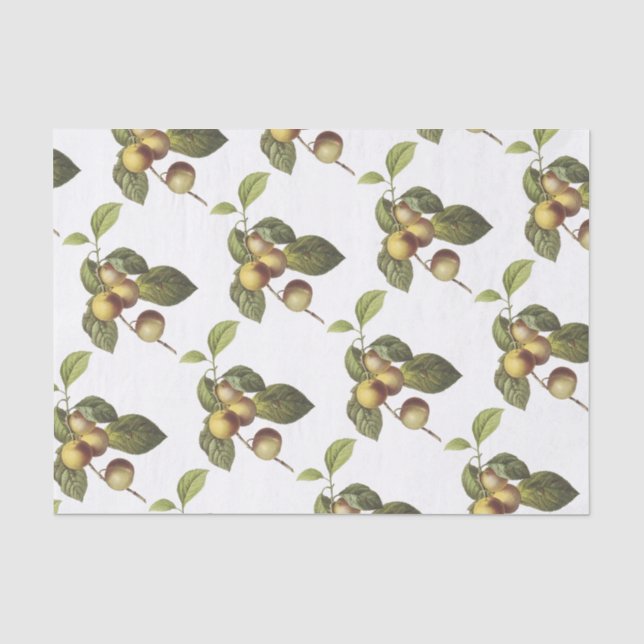 Crab apple Pattern Tissue Paper (Front)