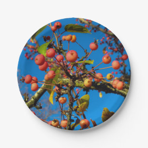 Crab Apples and Blue Sky Paper Plate