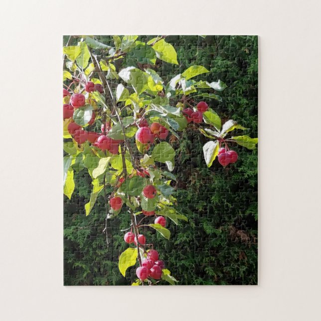 Crab Apples Jigsaw Puzzle (Vertical)
