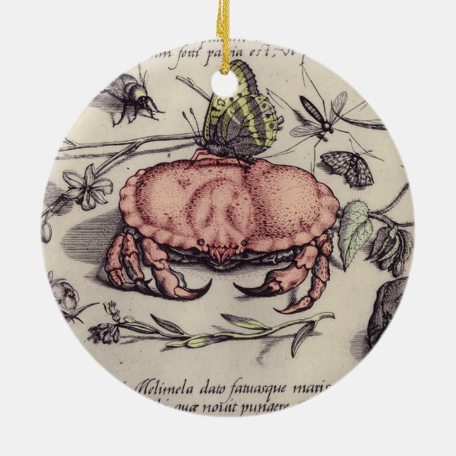 Crab Botanical Insect Flower Illustration Ceramic Tree Decoration (Back)